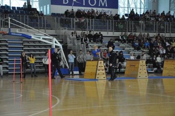 DSC_0243.JPG.jpg