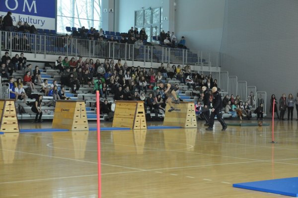 DSC_0265.JPG.jpg